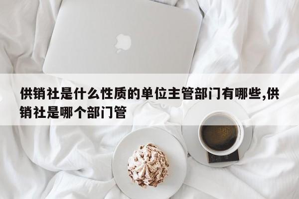 供销社是什么性质的单位主管部门有哪些,供销社是哪个部门管