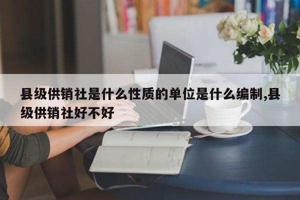 县级供销社是什么性质的单位是什么编制,县级供销社好不好