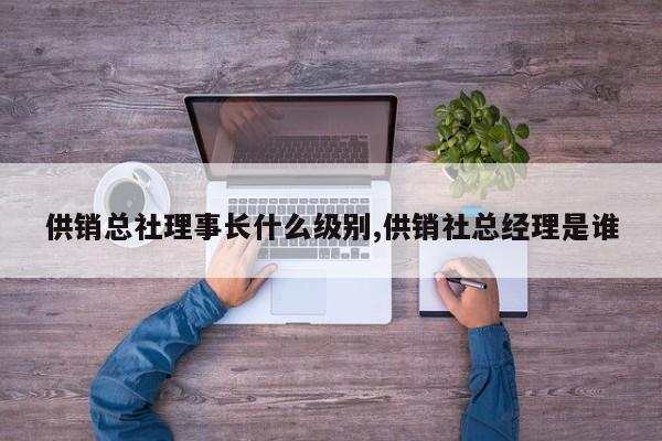 供销总社理事长什么级别,供销社总经理是谁