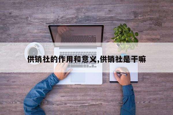 供销社的作用和意义,供销社是干嘛