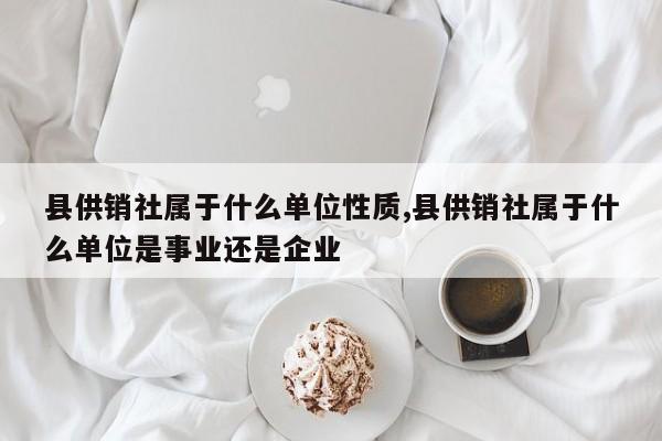 县供销社属于什么单位性质,县供销社属于什么单位是事业还是企业