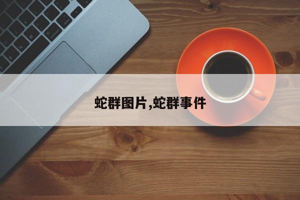 蛇群图片,蛇群事件