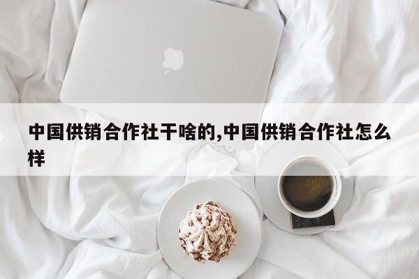 中国供销合作社干啥的,中国供销合作社怎么样