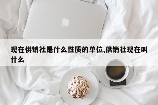 现在供销社是什么性质的单位,供销社现在叫什么
