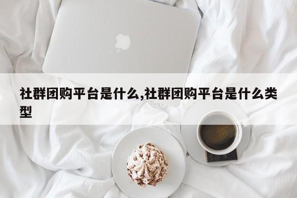 社群团购平台是什么,社群团购平台是什么类型