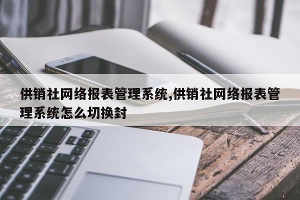 供销社网络报表管理系统,供销社网络报表管理系统怎么切换封