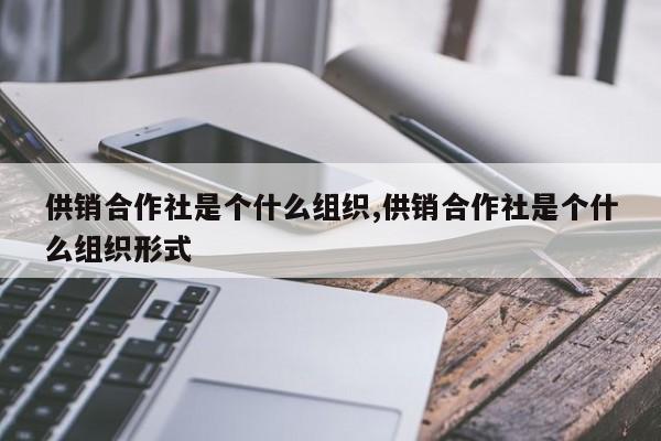 供销合作社是个什么组织,供销合作社是个什么组织形式