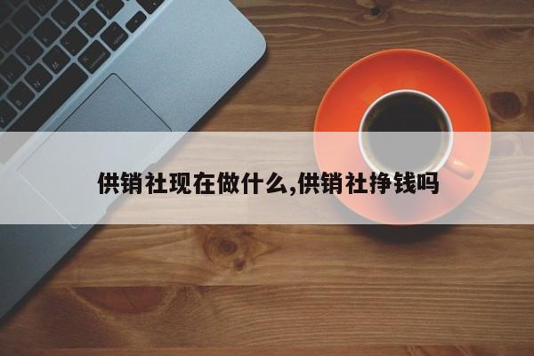 供销社现在做什么,供销社挣钱吗