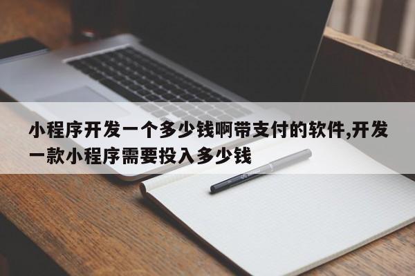 小程序开发一个多少钱啊带支付的软件,开发一款小程序需要投入多少钱