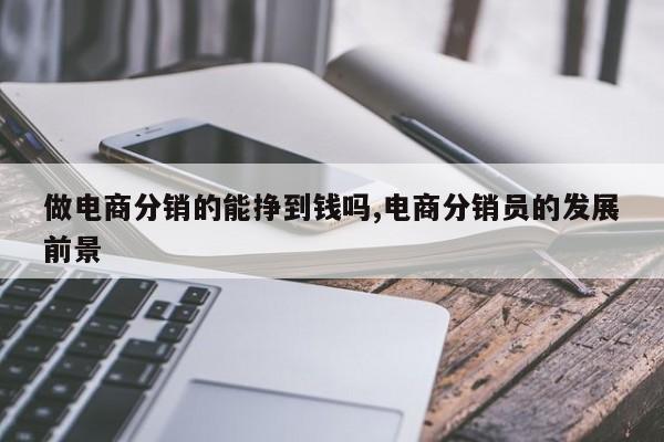 做电商分销的能挣到钱吗,电商分销员的发展前景