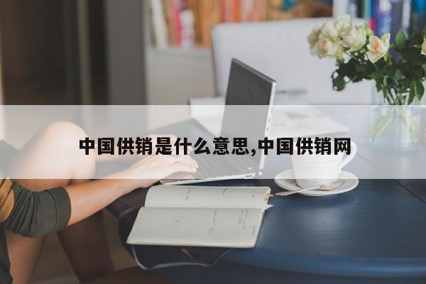 中国供销是什么意思,中国供销网