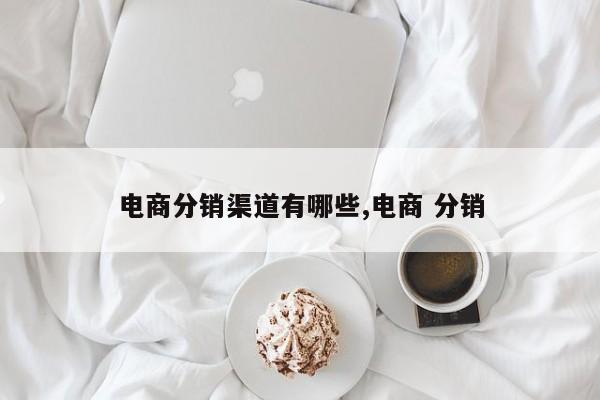 电商分销渠道有哪些,电商 分销