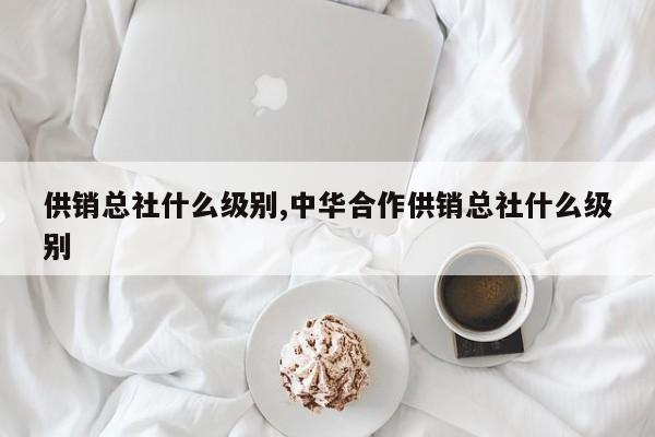 供销总社什么级别,中华合作供销总社什么级别