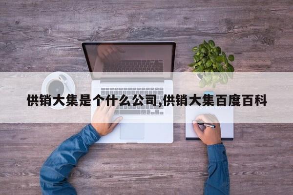 供销大集是个什么公司,供销大集百度百科