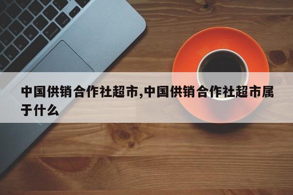 中国供销合作社超市,中国供销合作社超市属于什么