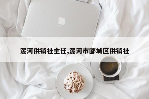 漯河供销社主任,漯河市郾城区供销社
