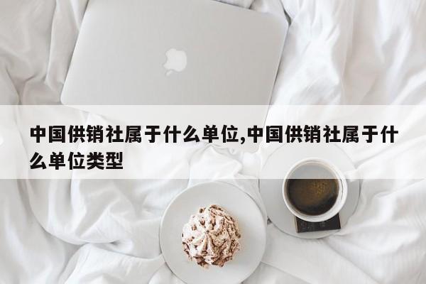 中国供销社属于什么单位,中国供销社属于什么单位类型