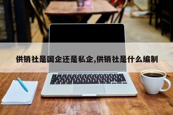 供销社是国企还是私企,供销社是什么编制