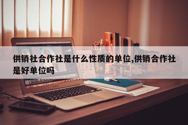 供销社合作社是什么性质的单位,供销合作社是好单位吗
