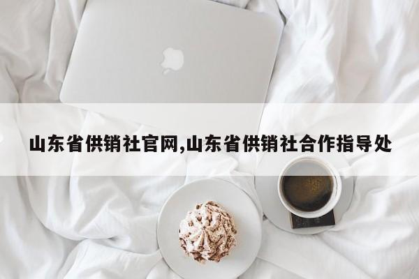 山东省供销社官网,山东省供销社合作指导处