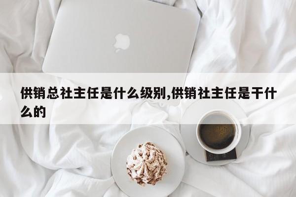 供销总社主任是什么级别,供销社主任是干什么的