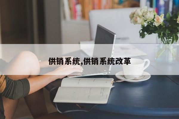 供销系统,供销系统改革